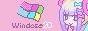 Windows 20
